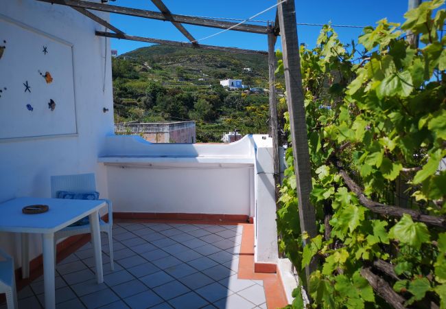 Appartamento a Ponza - La Maison Fiorita - mono La Vite -