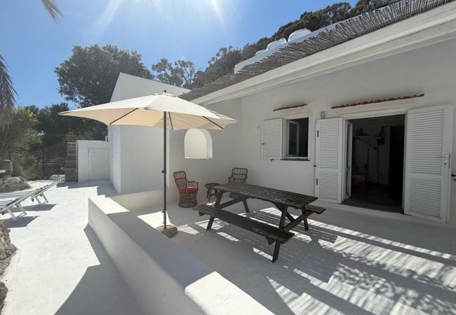 Апартаменты на Ponza - Turistcasa - Frontone 47 -