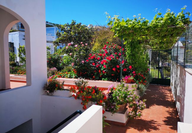 Chambres d'hôtes à Ponza - La Maison Fiorita camere