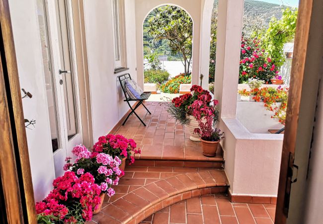 Chambres d'hôtes à Ponza - La Maison Fiorita camere