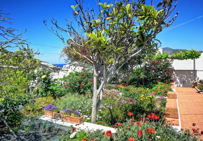 Chambres d'hôtes à Ponza - La Maison Fiorita camere