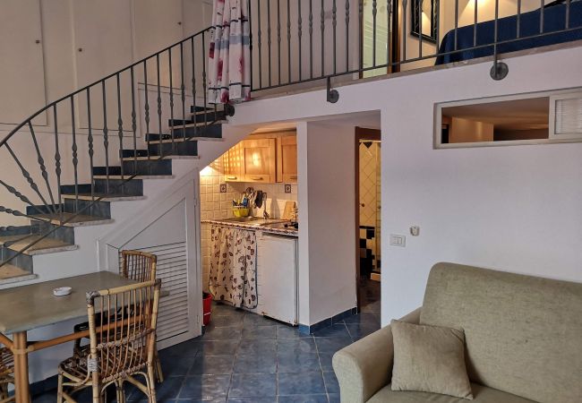 Appartement à Ponza - Turistcasa - Pilato 8 -