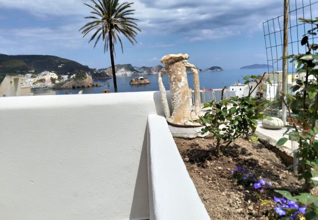 Appartement à Ponza - Turistcasa - Isolamì 2 -