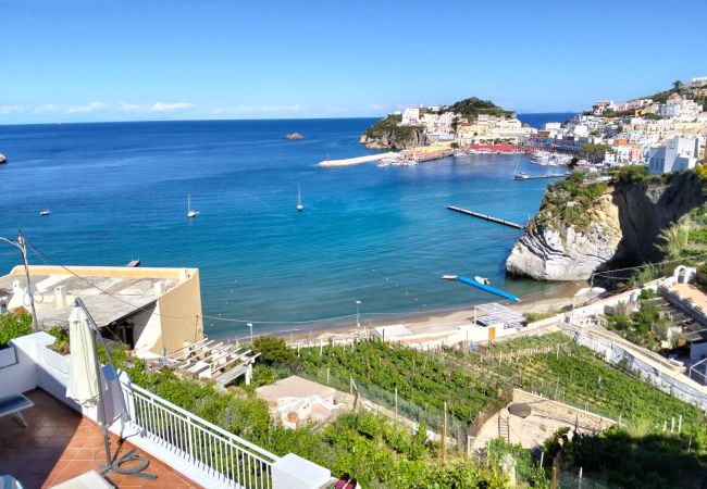 Appartement à Ponza - Turistcasa - Casa Pantaleone -