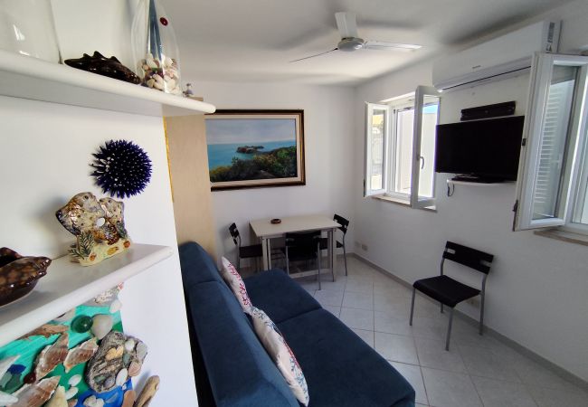 Appartement à Ponza - Turistcasa - Dovì 2 -