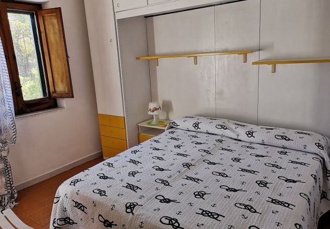 Apartment in Ponza - La Maison Fiorita - mono La Vite -