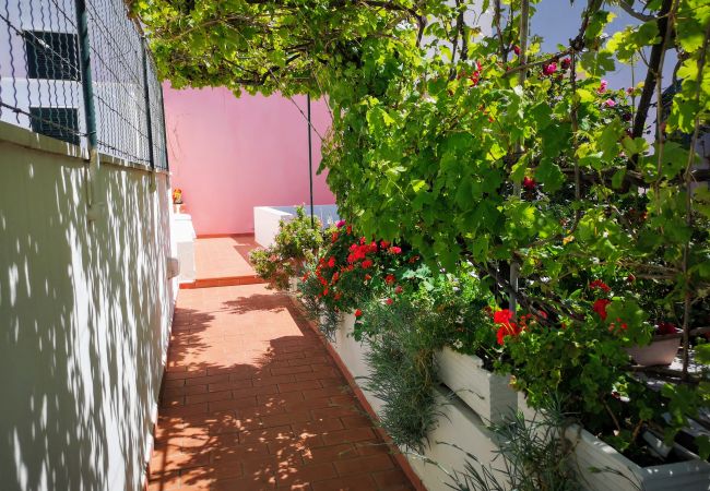 Rent by room in Ponza - La Maison Fiorita camere