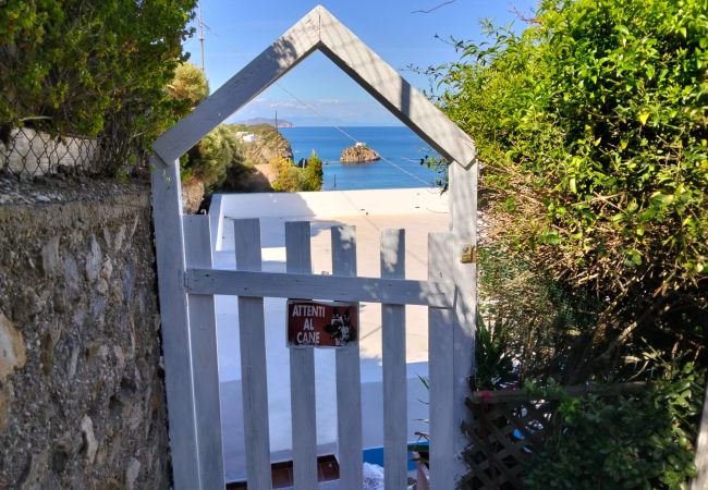 Apartment in Ponza - Turistcasa - Casa Pantaleone -