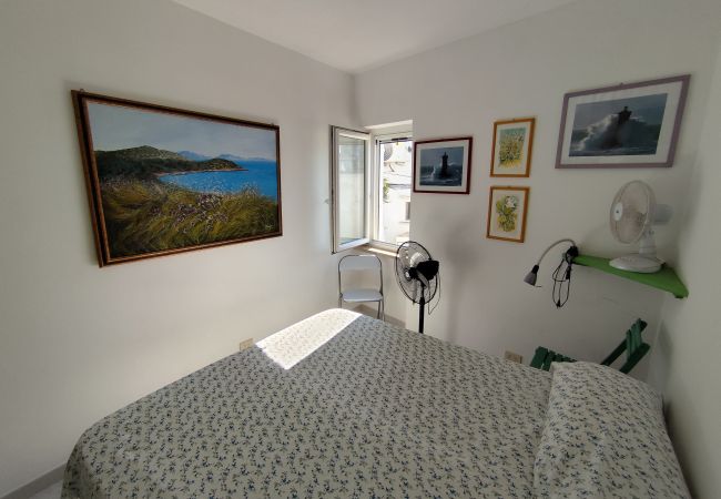 Apartment in Ponza - Turistcasa - Dovì 2 -