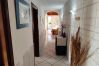 Apartment in Ponza - Turistcasa - Salsedine -