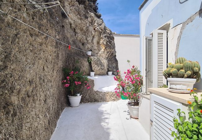 Zimmeranmietung in Ponza - b&b Casa d'aMare  - matrimoniale con terrazzo vist