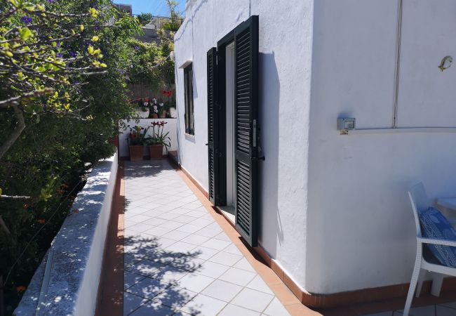 Ferienwohnung in Ponza - La Maison Fiorita - mono La Vite -