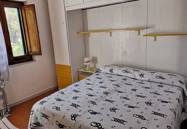 Ferienwohnung in Ponza - La Maison Fiorita - mono La Vite -