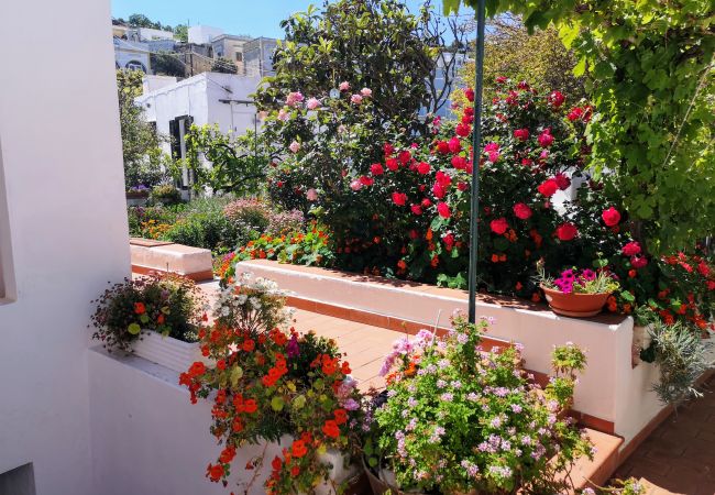 Ferienwohnung in Ponza - La Maison Fiorita - mono La Vite -