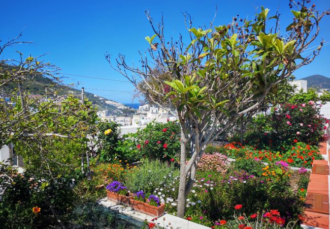 Ferienwohnung in Ponza - La Maison Fiorita - mono La Vite -